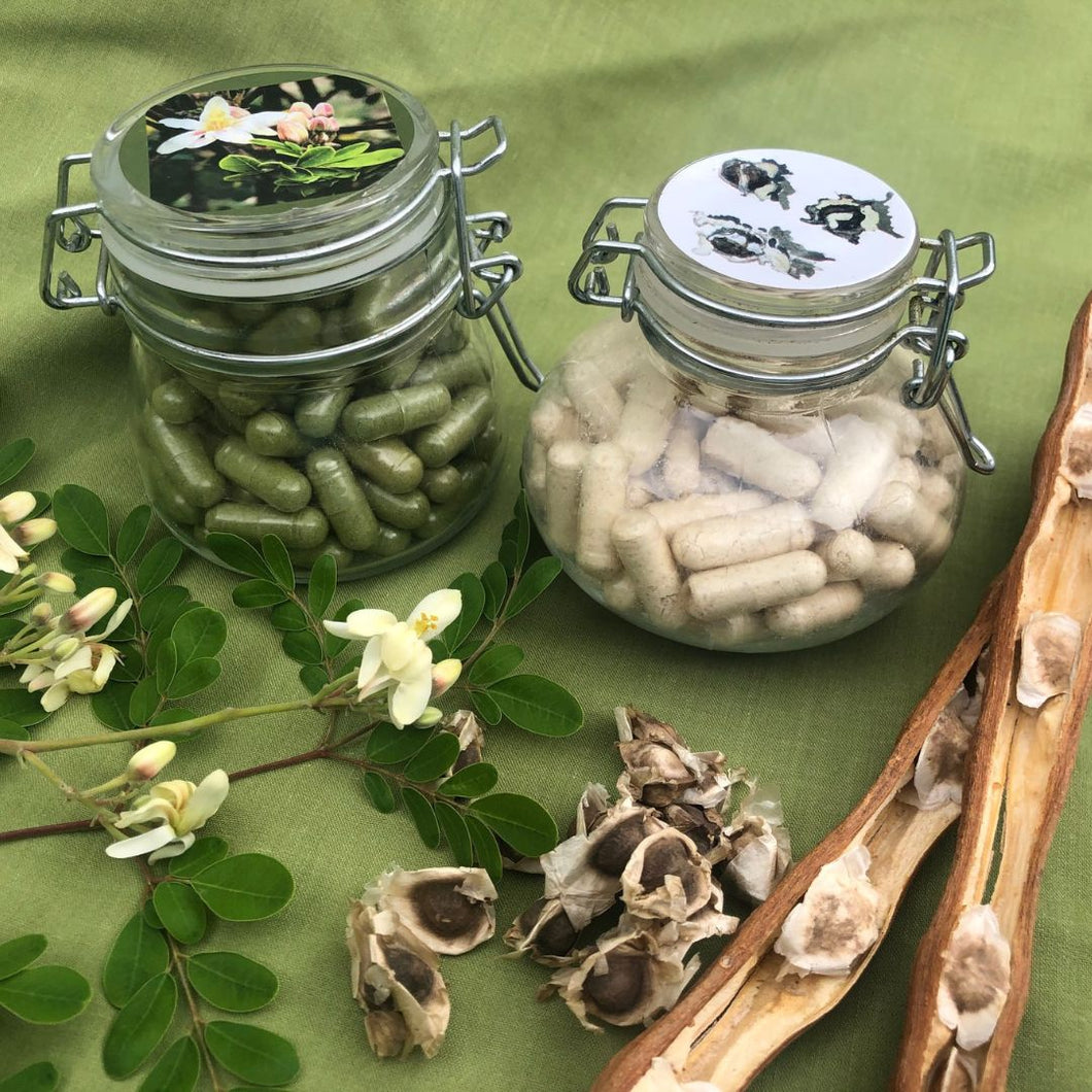 Moringa Capsules in Glass Jars