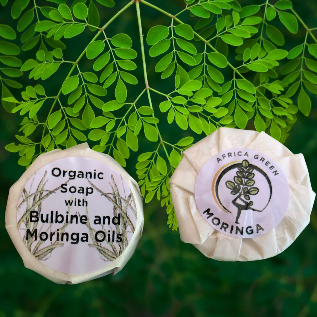 Organic Moringa & Bulbine Soap 26g