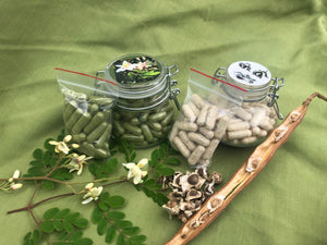 Moringa Capsules in Glass Jars