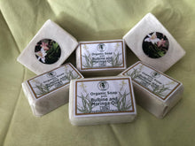 Load image into Gallery viewer, Bulbinella and Moringa Soap 100g
